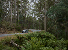 Molly Taylor weekend with Forester Hybrid 220x160px.jpg