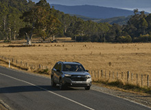 Forester Image.jpg